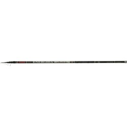 Lanseta Bologneza Trabucco Energhia XR Allround 8m