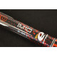 VARGA CARP EXPERT EVOLUTION POWER POLE 4M