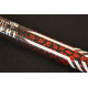 VARGA CARP EXPERT EVOLUTION POWER POLE 5M
