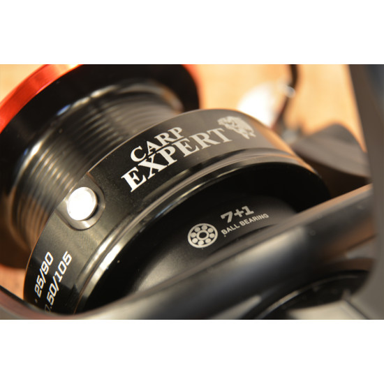 MULINETA CARP EXPERT MAX2 DT 6000