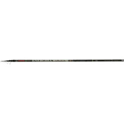 Lanseta Bologneza Trabucco Energhia XR Allround 8m
