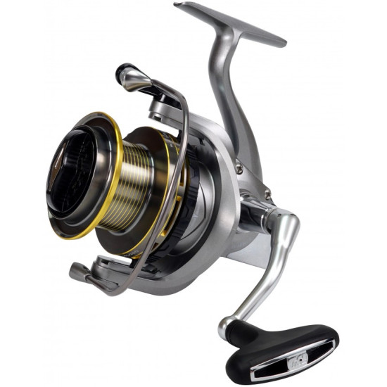 MULINETA TICA SEA MENTOR