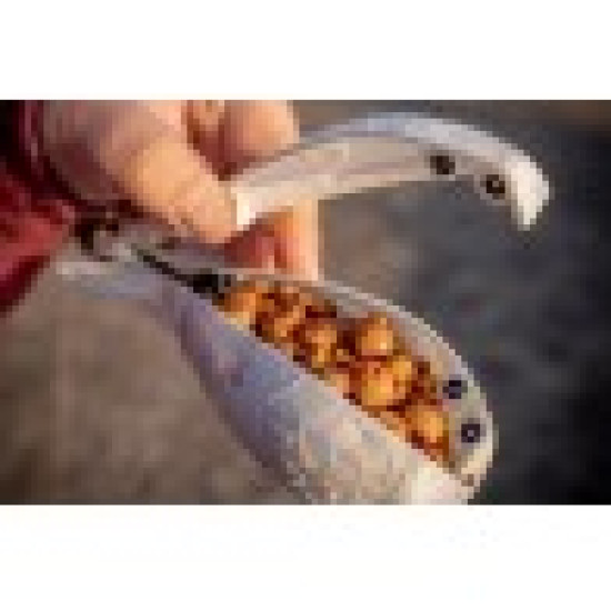 Racheta Nadire Wolf X-Spod Competition White 