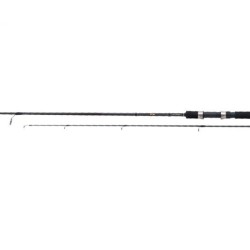 Lanseta Shimano FX XT 2.70m/50-100g